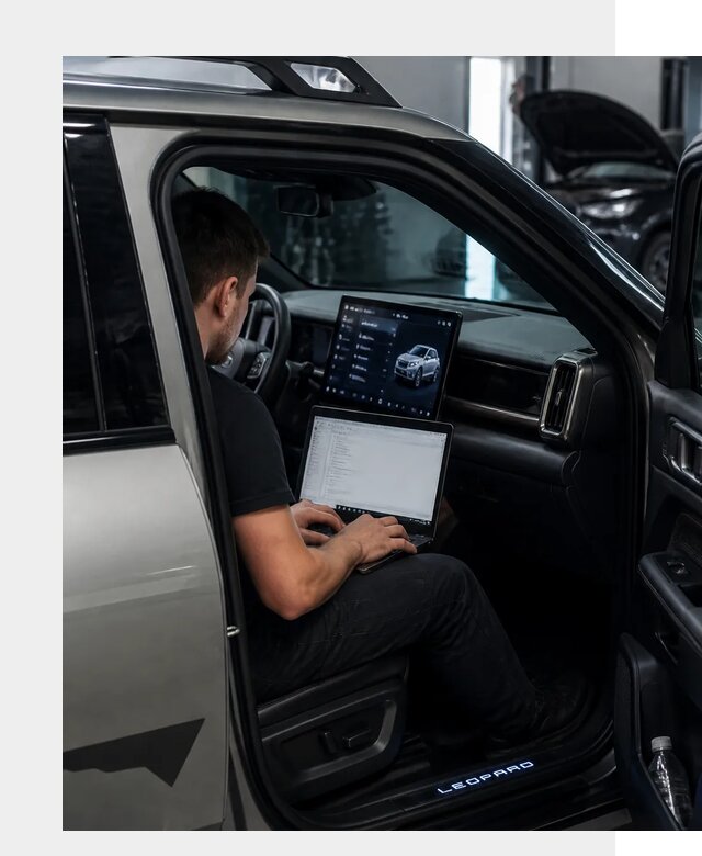 Русификация BYD Leopard 3 в Грозном по цене от 20419 р. | ФастМобиль-Грз